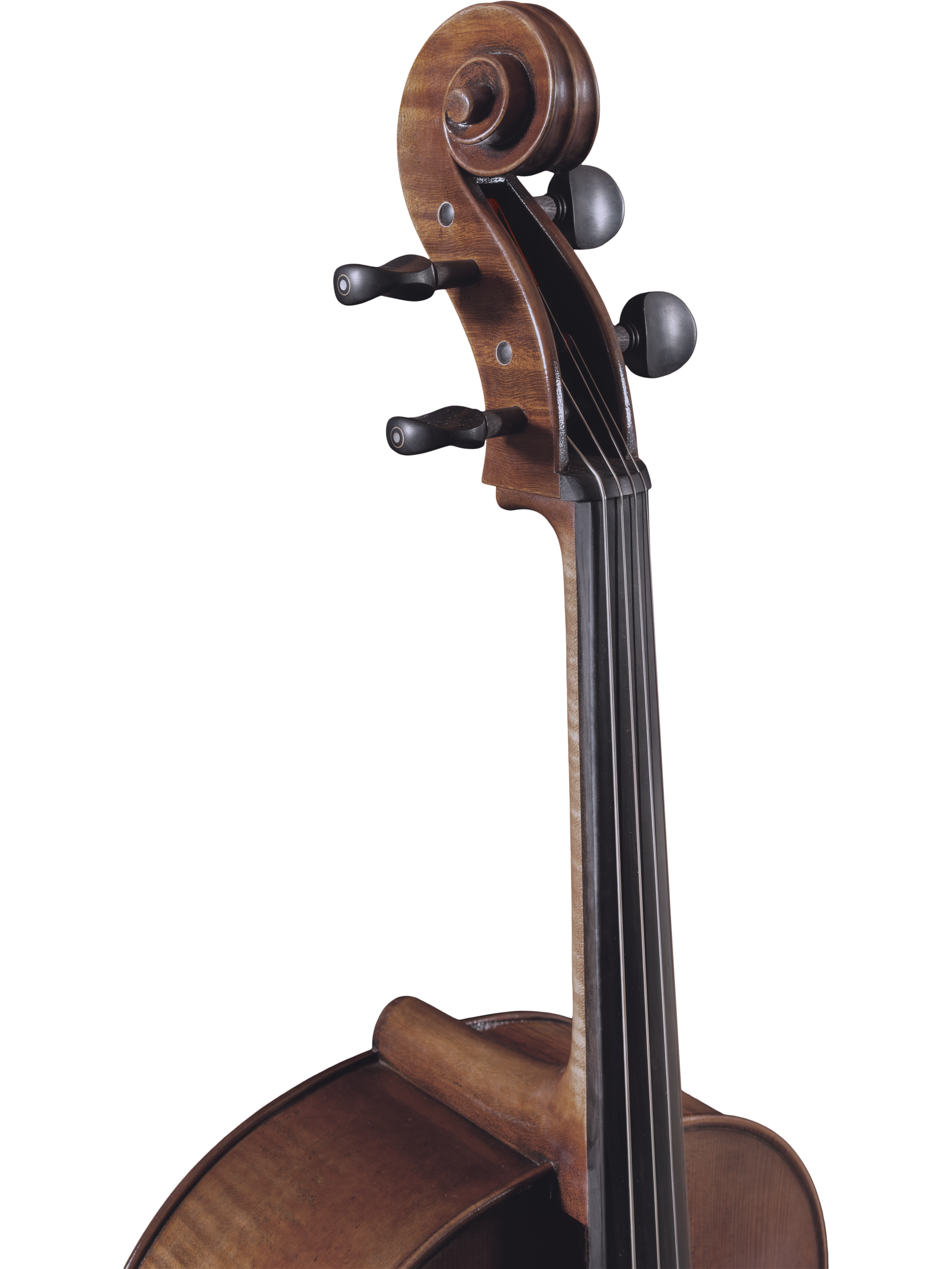 513C-EUII+Neck+Front+Right.png
